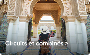 Circuits et combinés